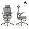 Ergo Chair