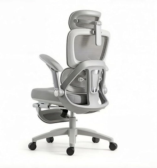 Ergo Chair