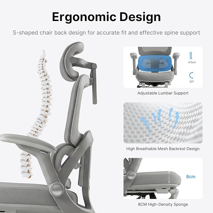 Ergo Chair