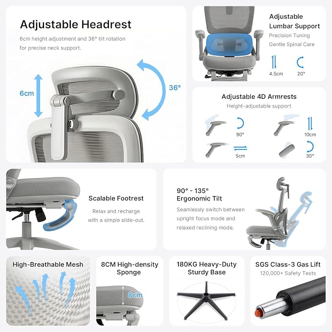 Ergo Chair